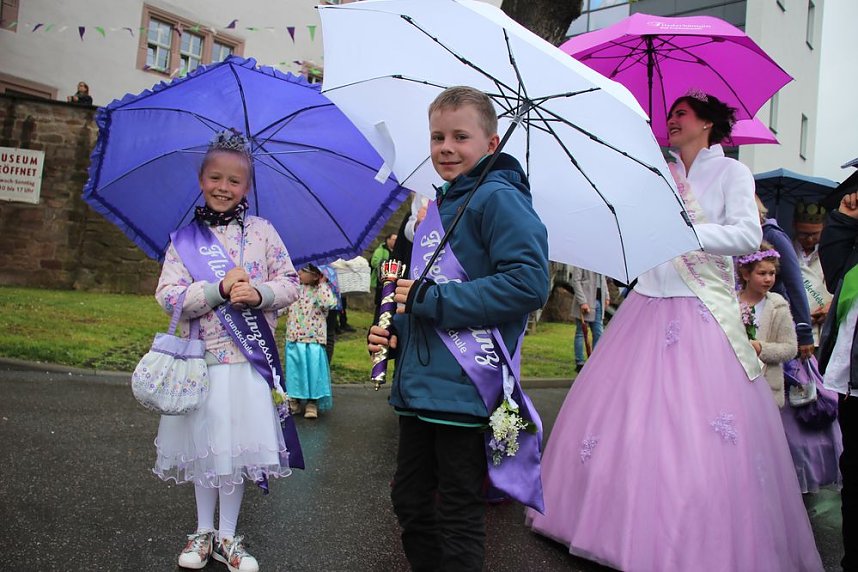 Fliederparade mit Schirm