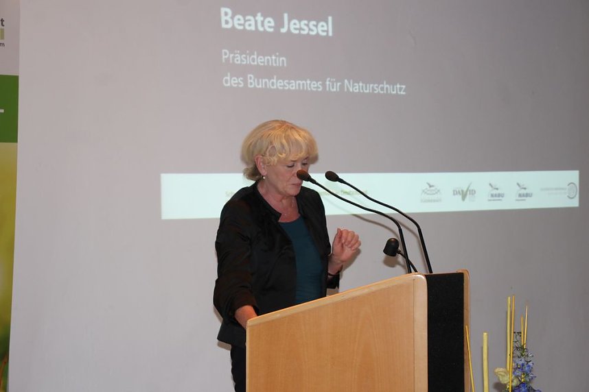 Mittel zum Schutz der Mopsfledermaus