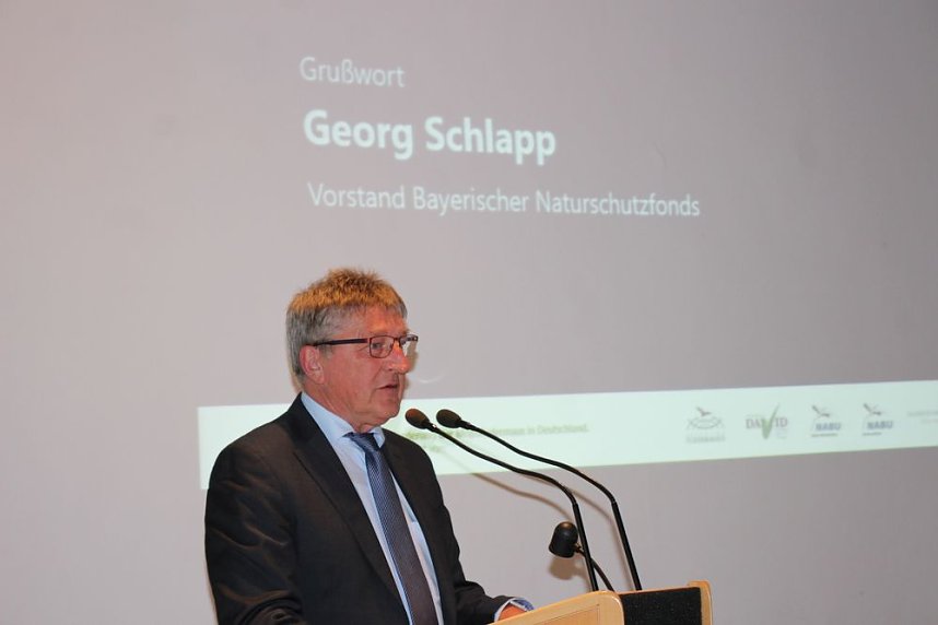 Mittel zum Schutz der Mopsfledermaus