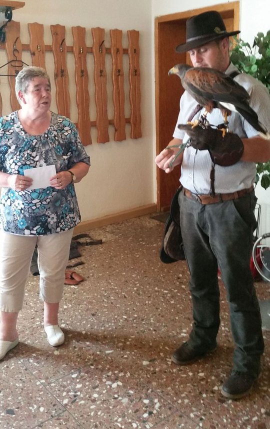 Luca Falke und W&uuml;sten-Bussard Uschi zu Besuch im WB 4