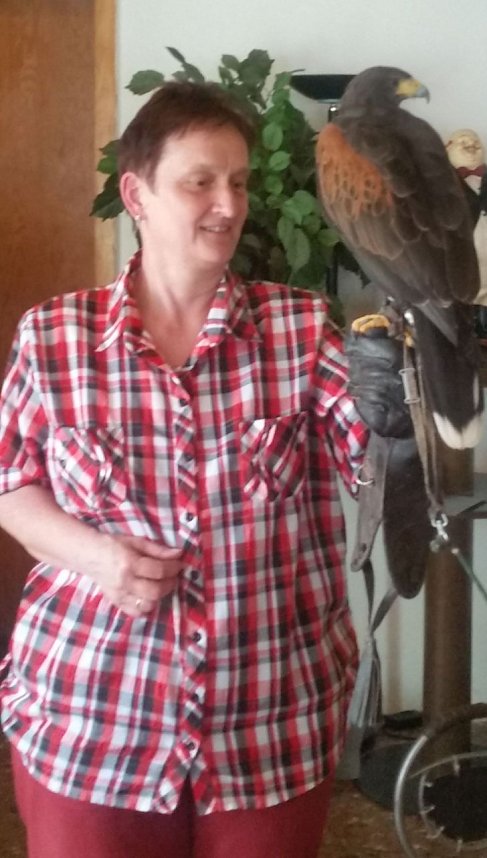 Luca Falke und W&uuml;sten-Bussard Uschi zu Besuch im WB 4