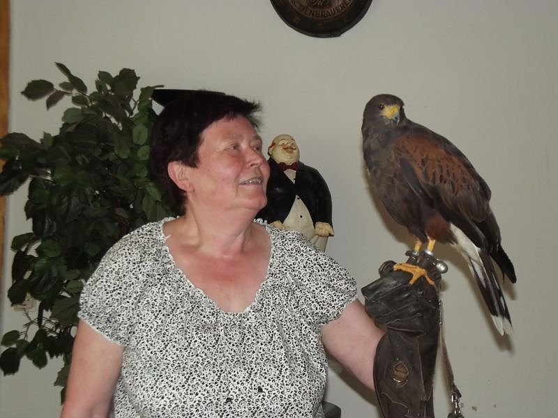 Luca Falke und W&uuml;sten-Bussard Uschi zu Besuch im WB 4