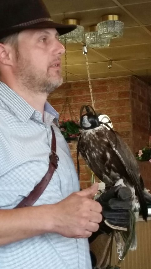 Luca Falke und W&uuml;sten-Bussard Uschi zu Besuch im WB 4