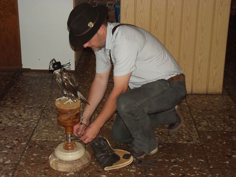 Luca Falke und W&uuml;sten-Bussard Uschi zu Besuch im WB 4