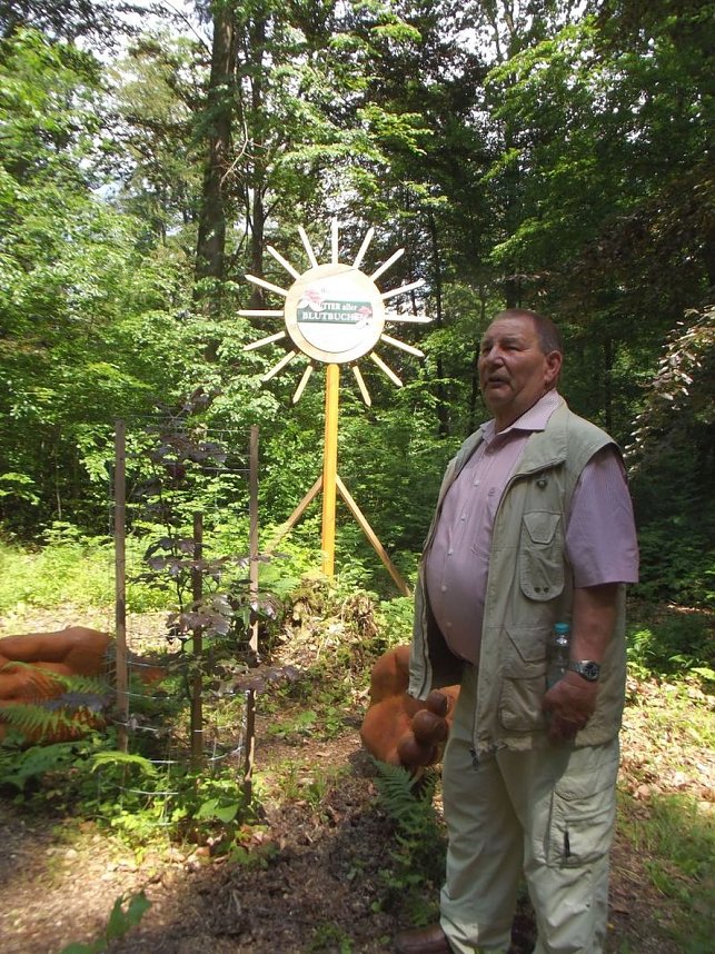 WB 4 Exkursion zur Mutterblutbuche