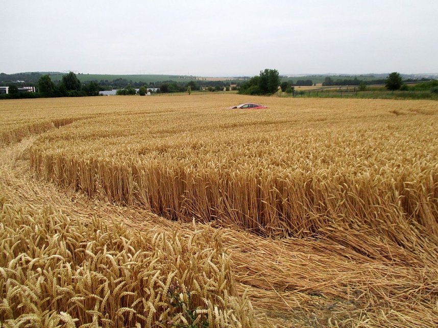 Kein Bett im Kornfeld