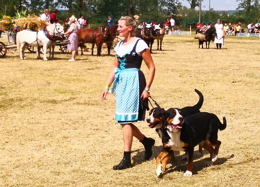 Gro&szlig;es Ponyfest Gro&szlig;enehrich