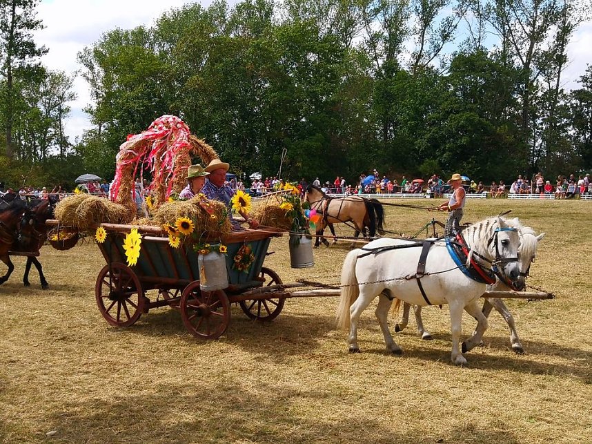 Gro&szlig;es Ponyfest Gro&szlig;enehrich
