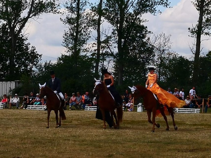 Gro&szlig;es Ponyfest Gro&szlig;enehrich
