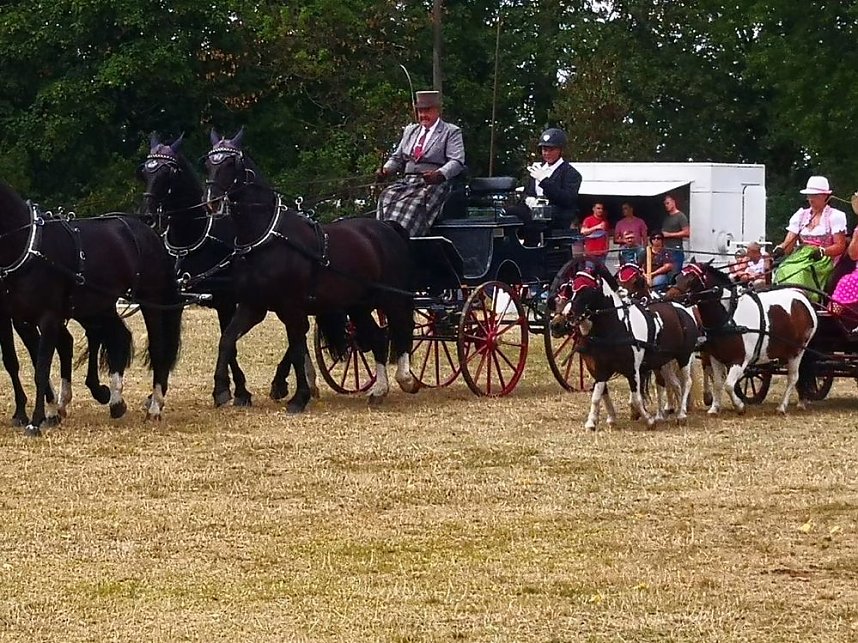 Gro&szlig;es Ponyfest Gro&szlig;enehrich