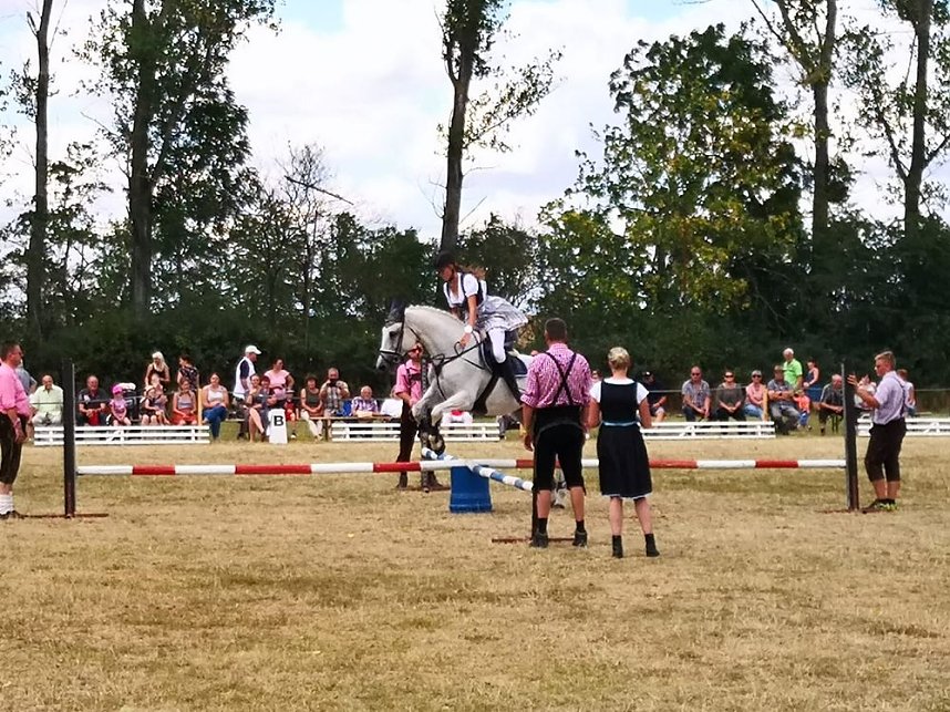 Gro&szlig;es Ponyfest Gro&szlig;enehrich