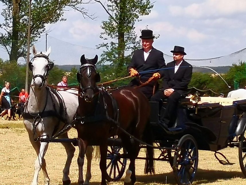 Gro&szlig;es Ponyfest Gro&szlig;enehrich