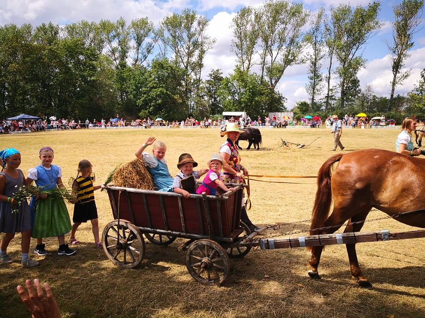 Gro&szlig;es Ponyfest Gro&szlig;enehrich