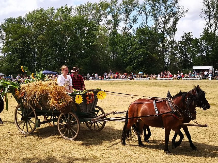 Gro&szlig;es Ponyfest Gro&szlig;enehrich