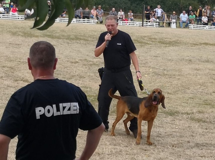 Gro&szlig;es Ponyfest Gro&szlig;enehrich