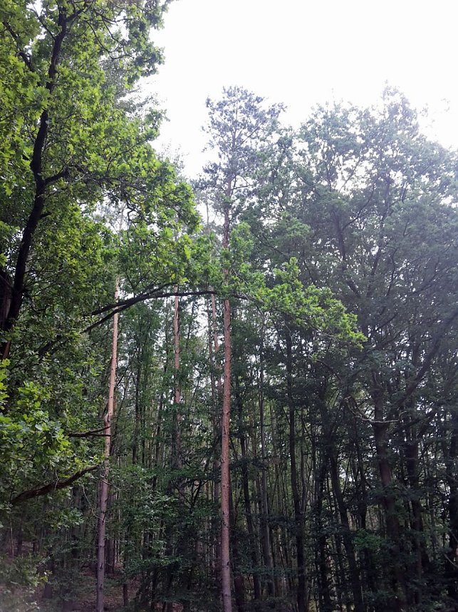 In der Windleite unterwegs