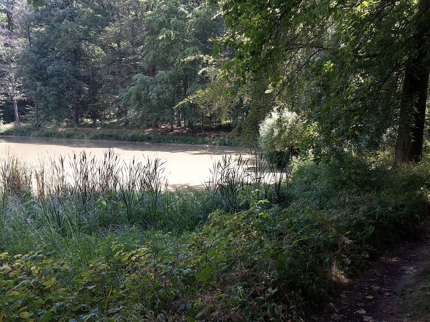 In der Windleite unterwegs