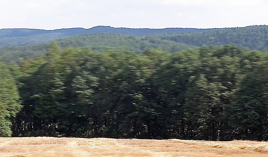 Gru&szlig; aus Sondershausen?