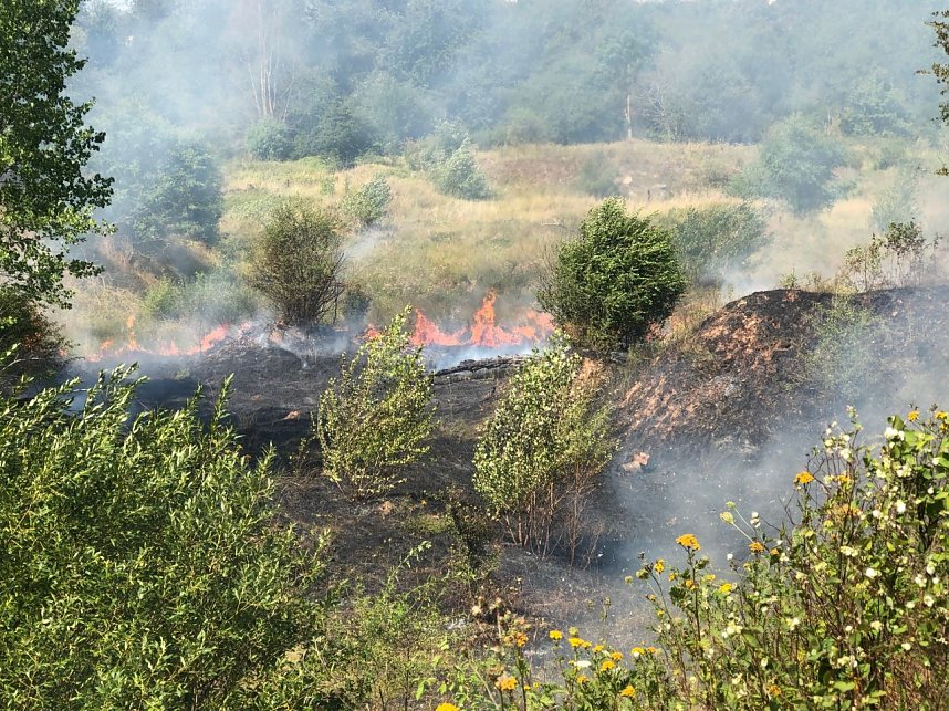Fl&auml;chenbrand