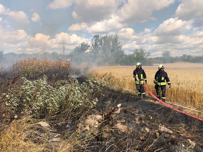 Fl&auml;chenbrand