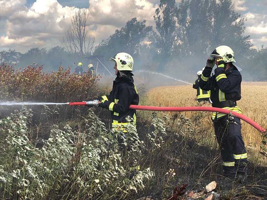 Fl&auml;chenbrand