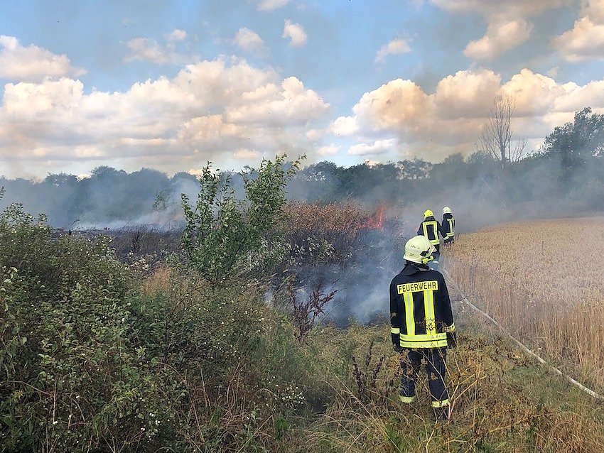 Fl&auml;chenbrand