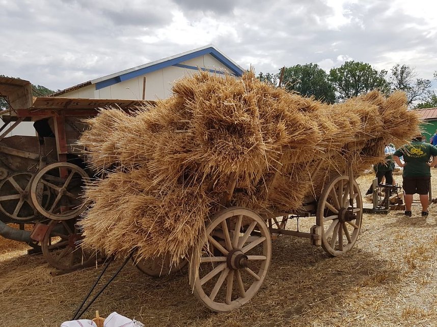 Gro&szlig;es Heimat-, Ernte und Dreschfest in Obertopfstedt