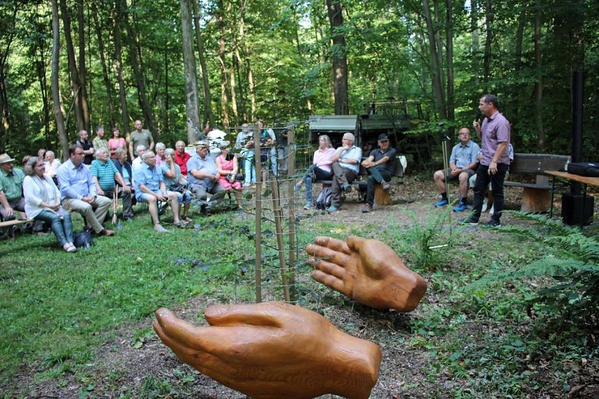 Impressionen vom Blutbuchenfest