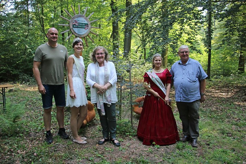 Impressionen vom Blutbuchenfest