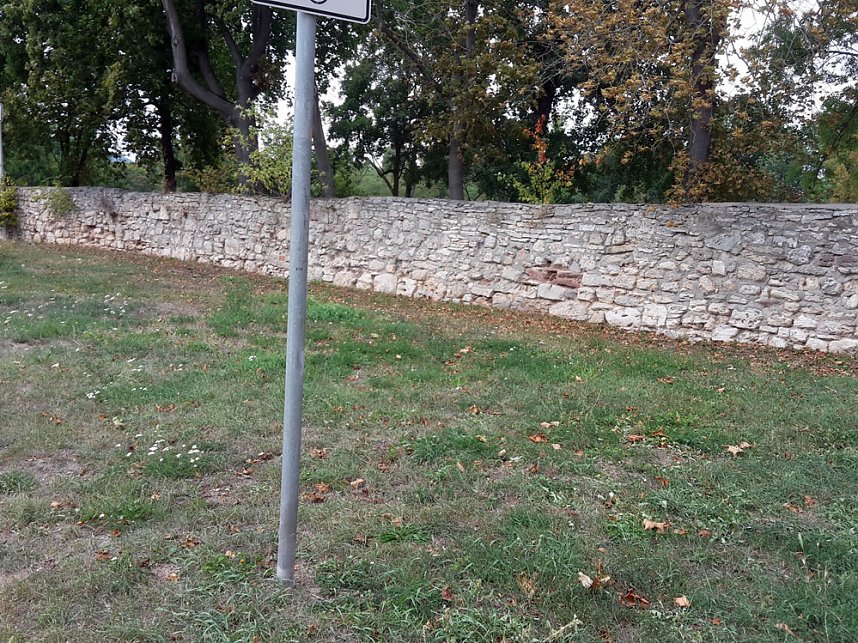 Wie mehr f&uuml;r, Insekten und Umwelt tun?