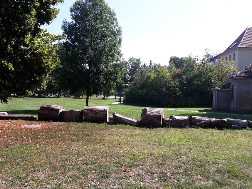 Wie mehr f&uuml;r, Insekten und Umwelt tun?