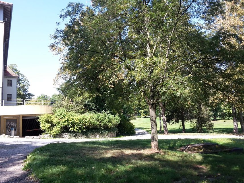 Wie mehr f&uuml;r, Insekten und Umwelt tun?