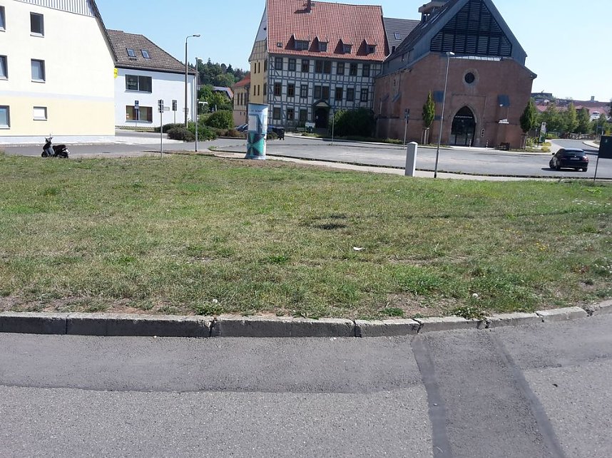 Wie mehr f&uuml;r, Insekten und Umwelt tun?