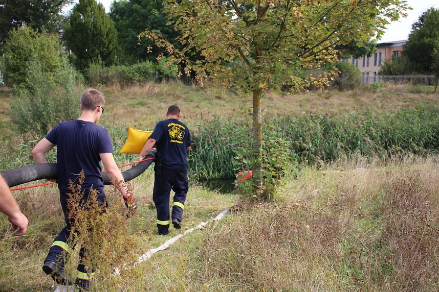 Schnelle und unkomplizierte Hilfe f&uuml;r den Parkteich