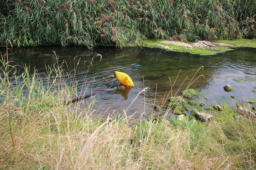 Schnelle und unkomplizierte Hilfe f&uuml;r den Parkteich