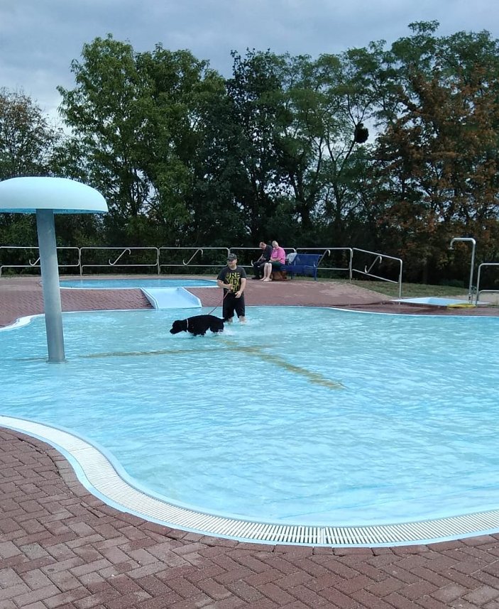 Hundeschwimmen im Solebad ein voller Erfolg