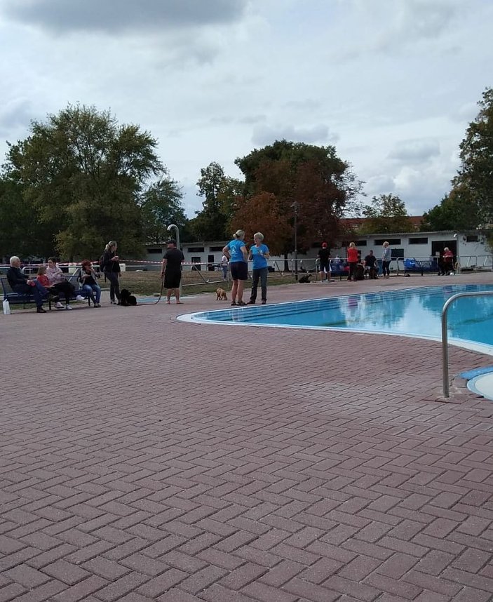 Hundeschwimmen im Solebad ein voller Erfolg