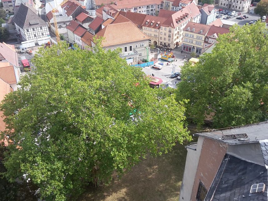 Angebote sehr gut genutzt