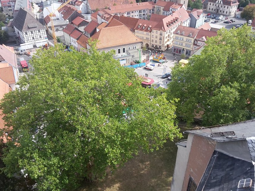 Angebote sehr gut genutzt