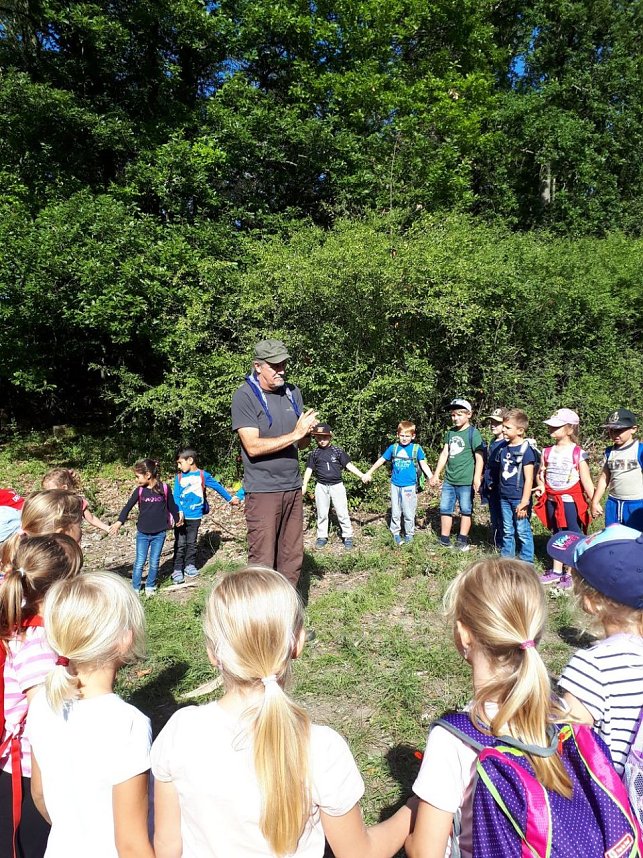 Den Wald mit allen Sinnen entdecken