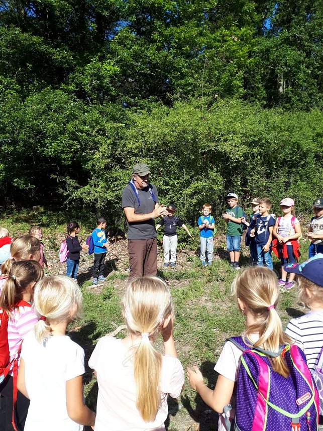 Den Wald mit allen Sinnen entdecken