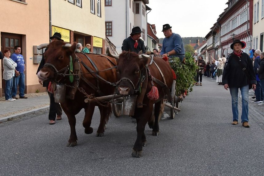 Bauernheer eroberte wieder Bad Frankenhausen