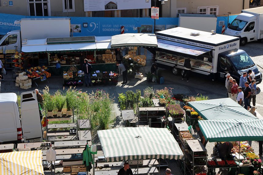 Pflanzen und Menschen in H&uuml;lle und F&uuml;lle