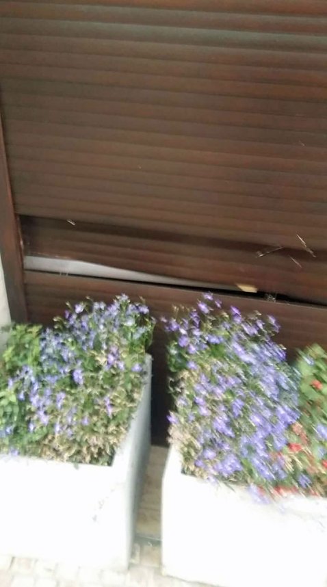 Spur der Verw&uuml;stung