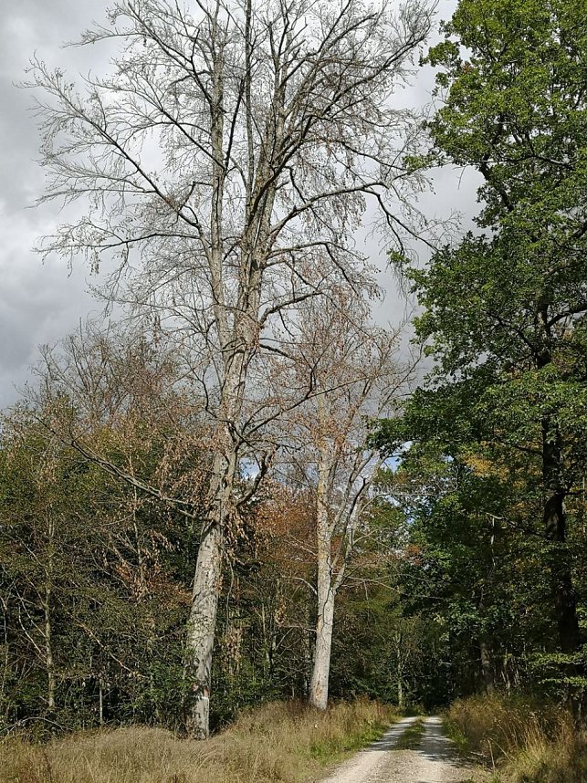 CDU im Gespr&auml;ch zum Thema Wald mit...