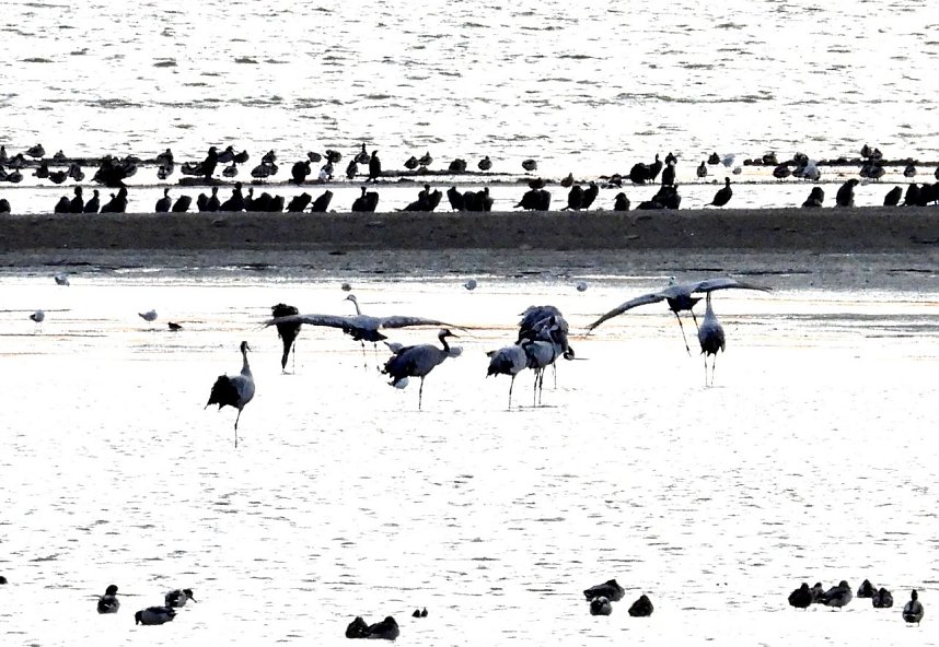 Abendstimmung am Stausee Kelbra