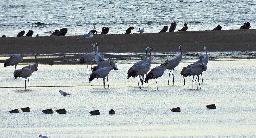 Abendstimmung am Stausee Kelbra