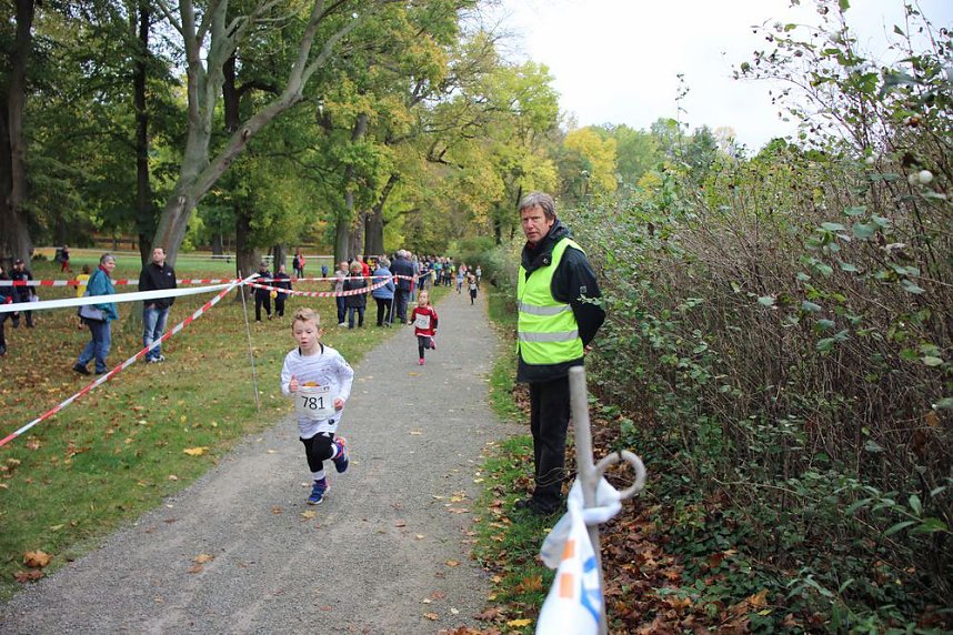 26. Stadtparklauf Sondershausen und...