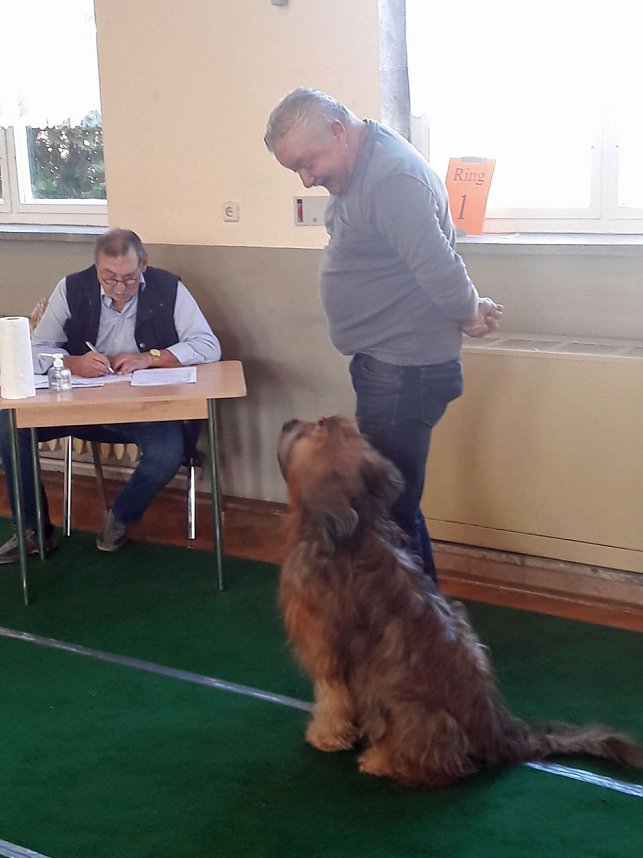 &Uuml;ber 90 Hunde bewarben sich auf Ausstellung in Trebra um Pokale