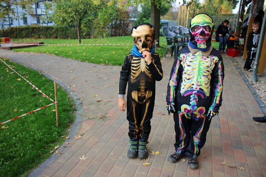 Grusliges im K&auml;ferland